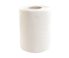 Merida Papírové ručníky v rolích MINI, 2 - vrst., 100% celulóza, 50 m, 12 rolí / bal.