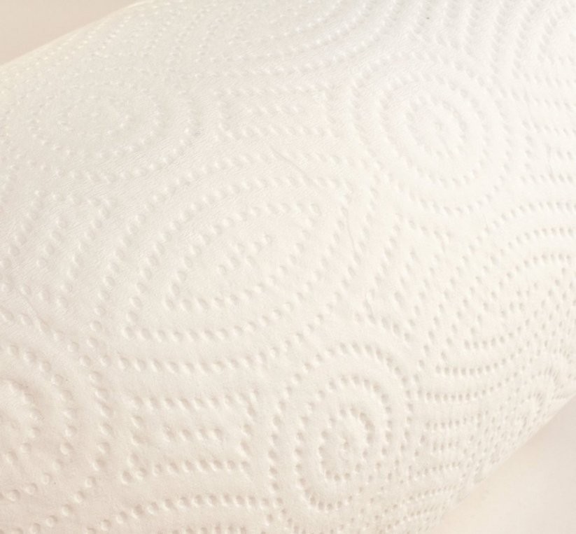 Papírové ručníky Merida 2.vrstvé, 100% celulóza s vnitřním odvinem, 6.rolí v balení