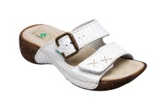 N 109 1 01 B+ŹL+ü
