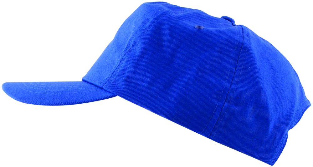 Ardon.cz Čepice kšilt ARDON®LION modrá